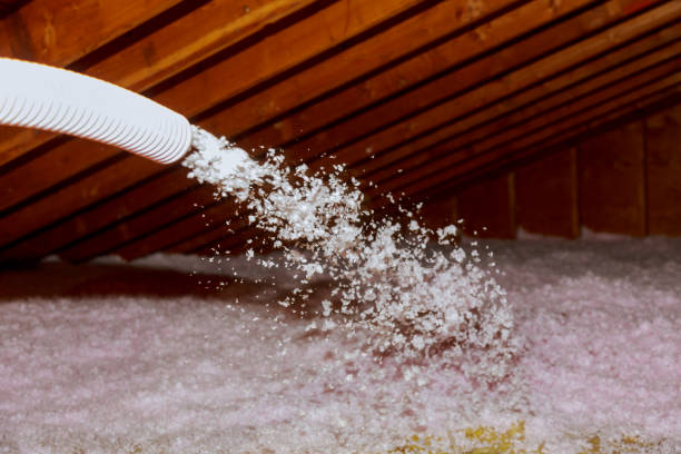 Best Insulation for Specific Applications in New Orleans, LA