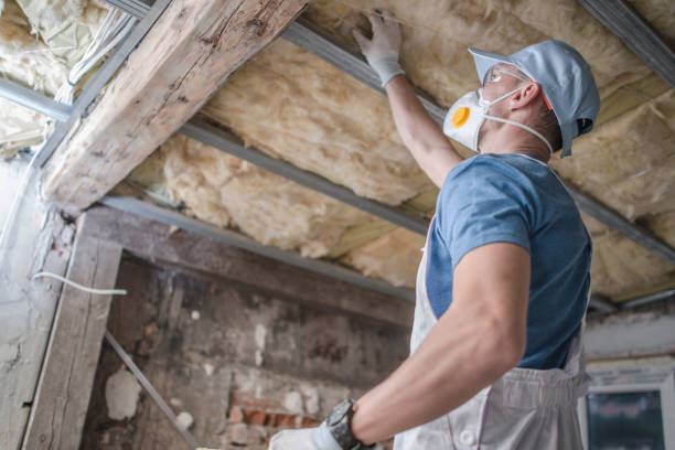 Best Insulation for Specific Applications in New Orleans, LA